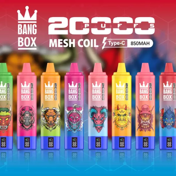 BangBox 20000 Puffs -10 packs or more 2
