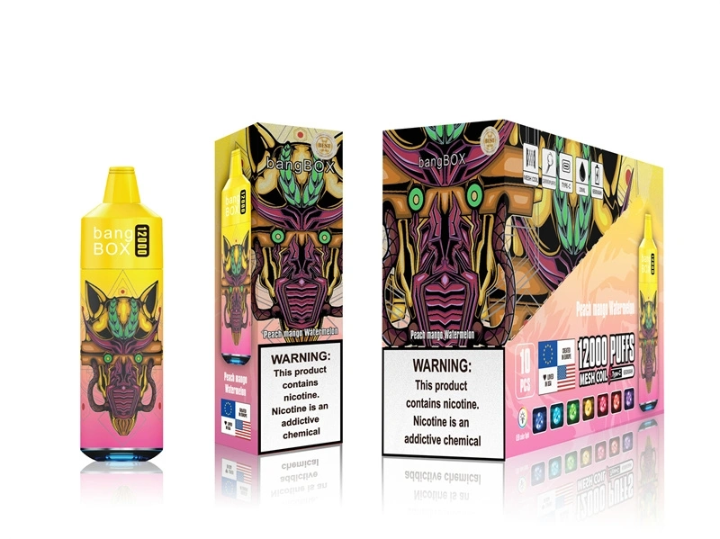 Bangbox 12000 Puffs Disposable Vape – Multiple Flavor 2